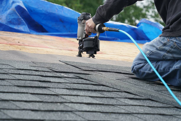 Best Metal Roofing Contractor  in Mission, KS